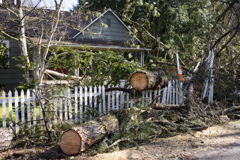 Tree Blocking Driveway