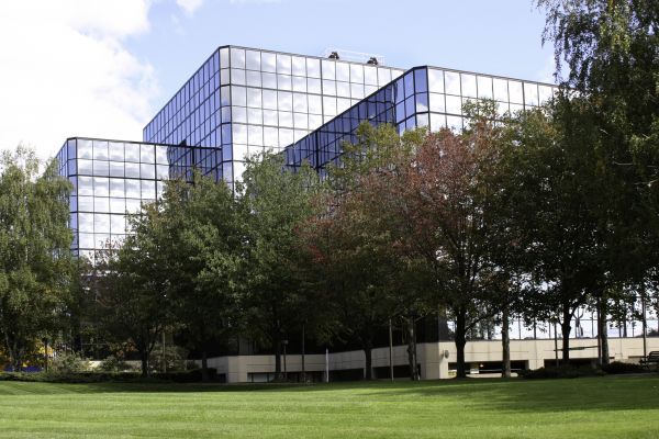 Commercial Tree Trimming in Fargo